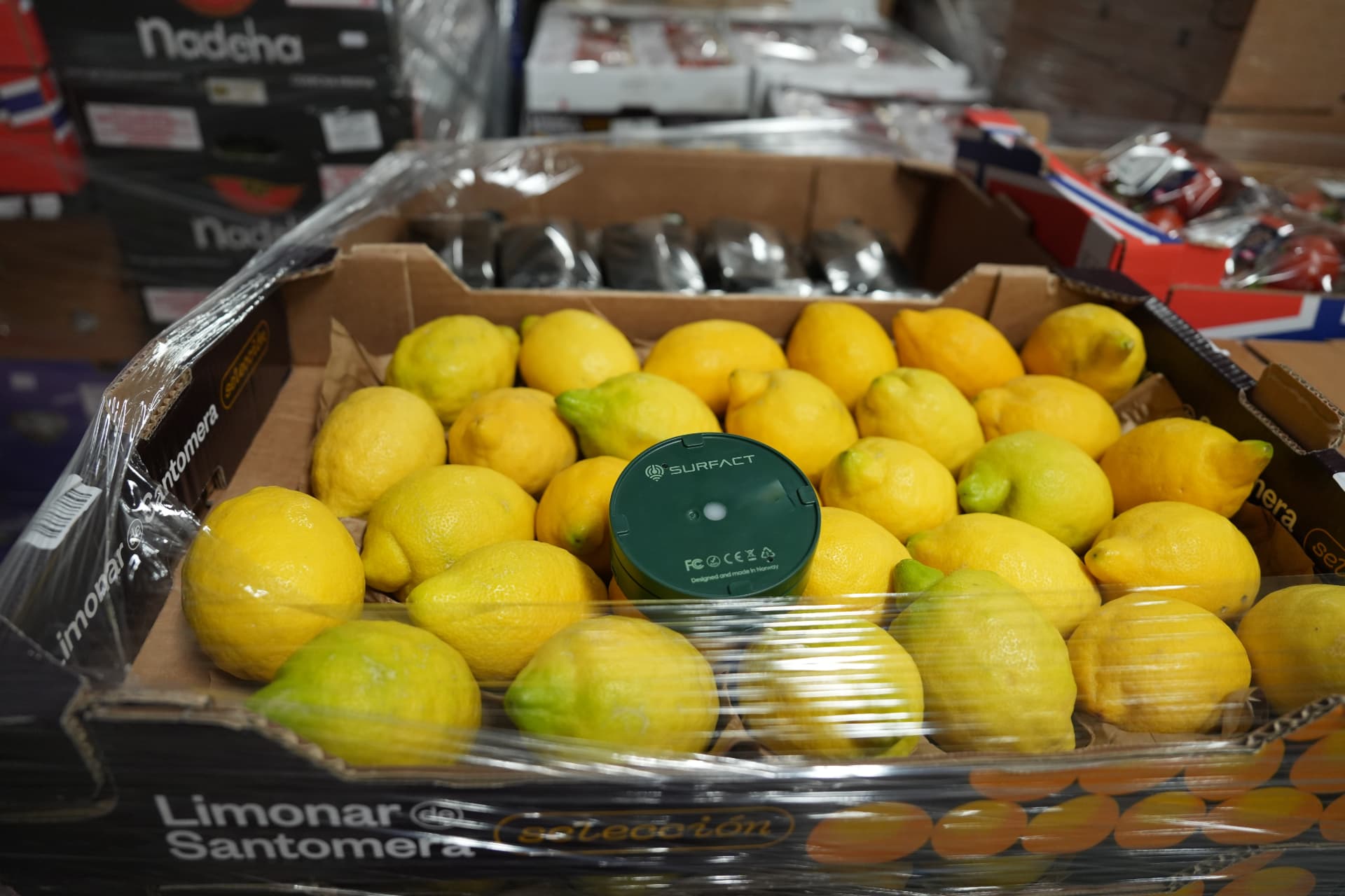Emma Smart Tracker riding on a crate of fresh lemons