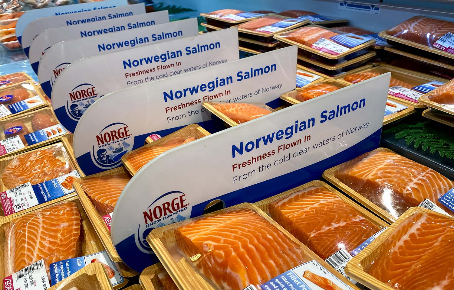 Packs of Norwegian salmon flown in fresh, on display in an export market