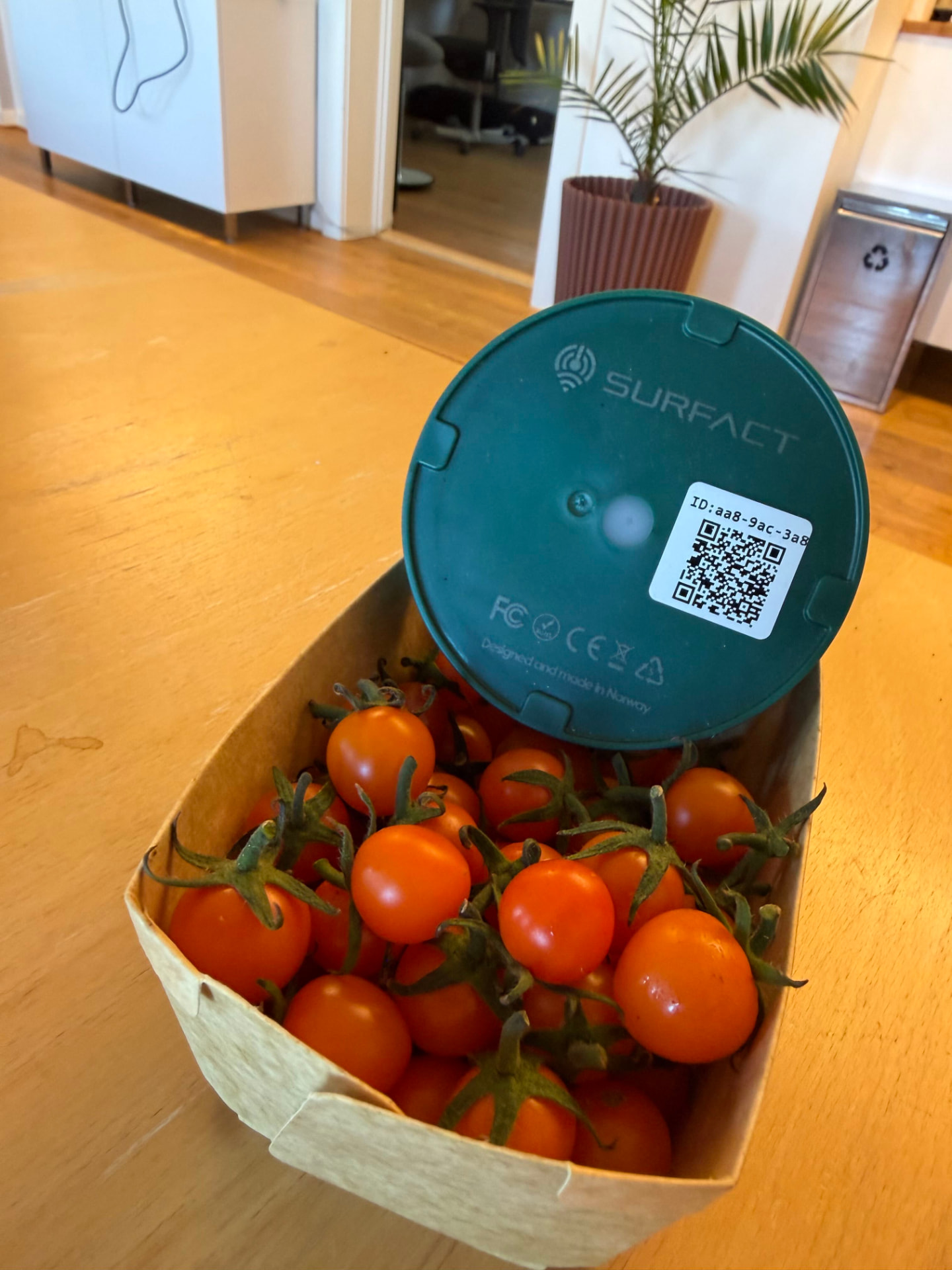 Emma Smart Tracker resting on a punnet of cherry tomatoes, designed and made in Norway