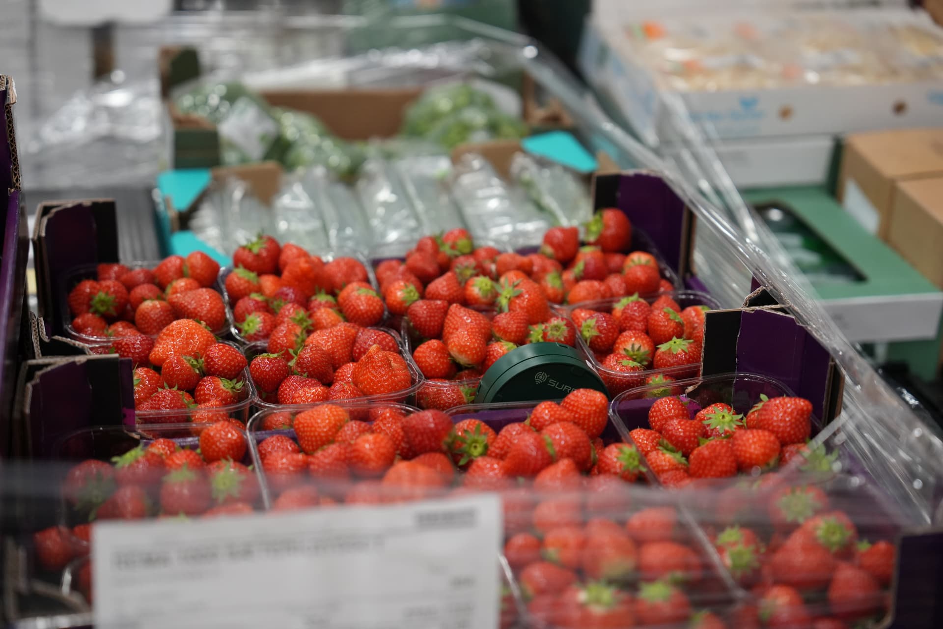 Emma Smart Tracker on top of a pallet of strawberry punnets